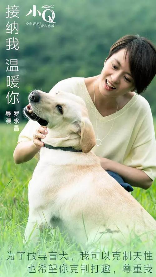 离婚证买房信用